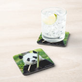 Giant Panda Holding Bamboo Bier Onderzetter (Rechterzijde)