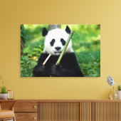 Giant Panda Holding Bamboo Canvas Afdruk (Insitu (Woonkamer))