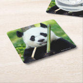 Giant Panda Holding Bamboo Kartonnen Onderzetters (Schuin)