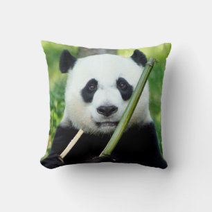 Giant Panda Holding Bamboo Kussen