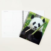 Giant Panda Holding Bamboo Planner (Display)