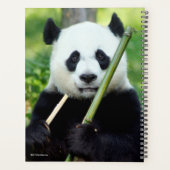 Giant Panda Holding Bamboo Planner (Achterkant)