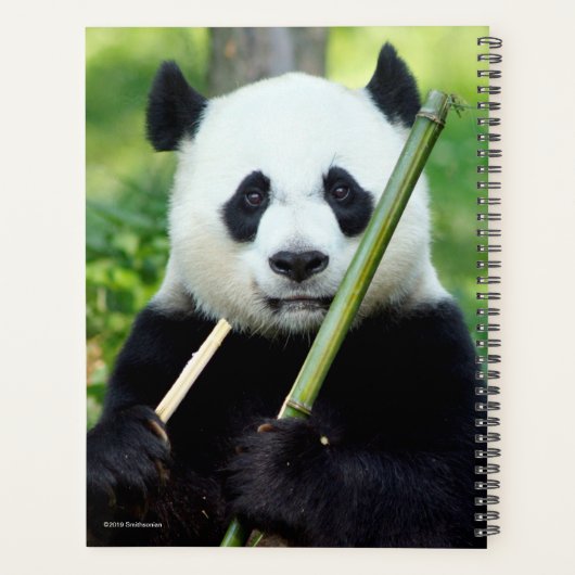Giant Panda Holding Bamboo Planner (Achterkant)
