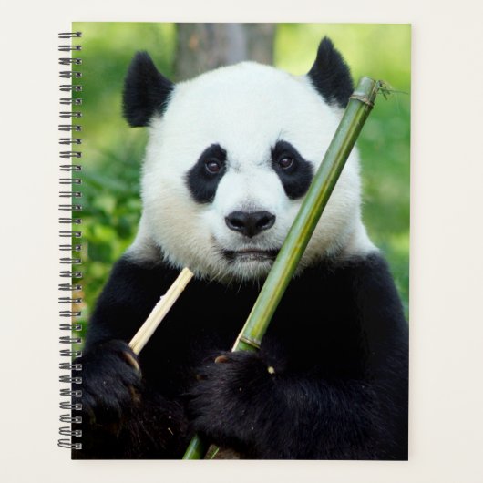 Giant Panda Holding Bamboo Planner (Voorkant)