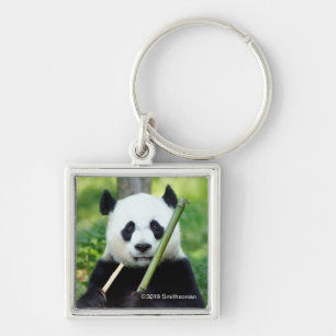 Giant Panda Holding Bamboo Sleutelhanger
