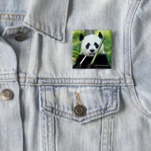 Giant Panda Holding Bamboo Vierkante Button 5,1 Cm