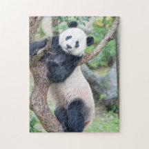 Giant Panda in een boom-puzzel