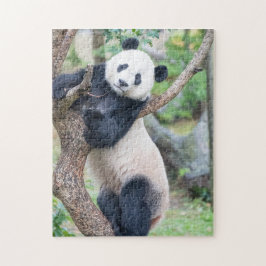 Giant Panda in een boom-puzzel Legpuzzel