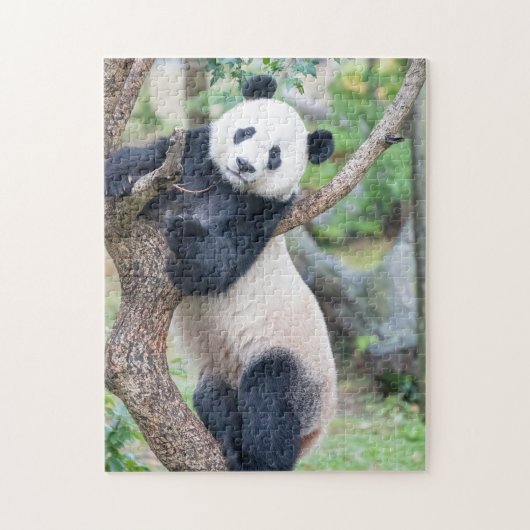 Giant Panda in een boom-puzzel Legpuzzel (Verticaal)