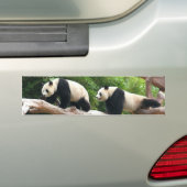 Giant panda in een wilde dierentuinfoto. bumpersticker (Op auto)