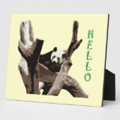 Giant panda in een wilde dierentuinfoto. fotoplaat (Zijkant)