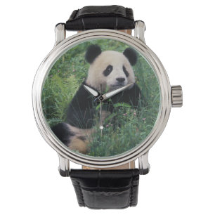 Giant panda in het gras, Wolong Valley, Sichuan Horloge