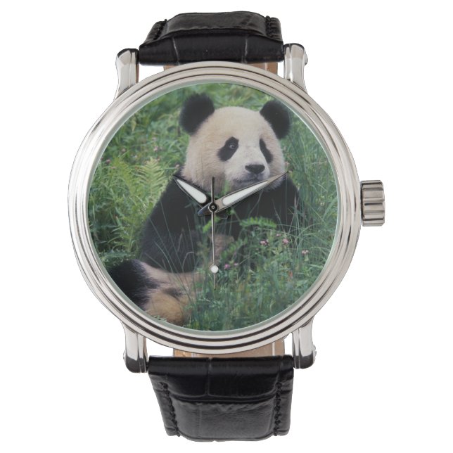 Giant panda in het gras, Wolong Valley, Sichuan Horloge (Voorkant)