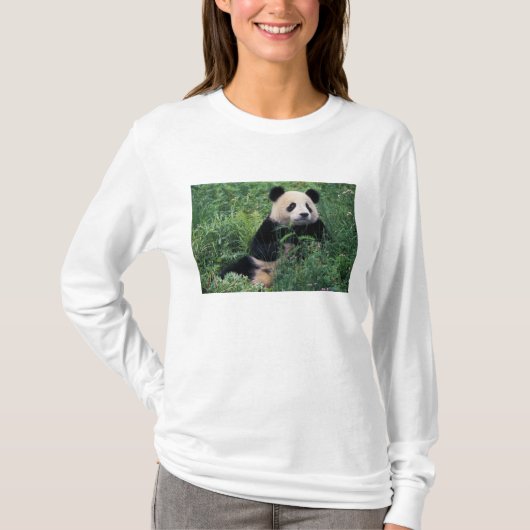 Giant panda in het gras, Wolong Valley, Sichuan T-shirt (Voorkant)