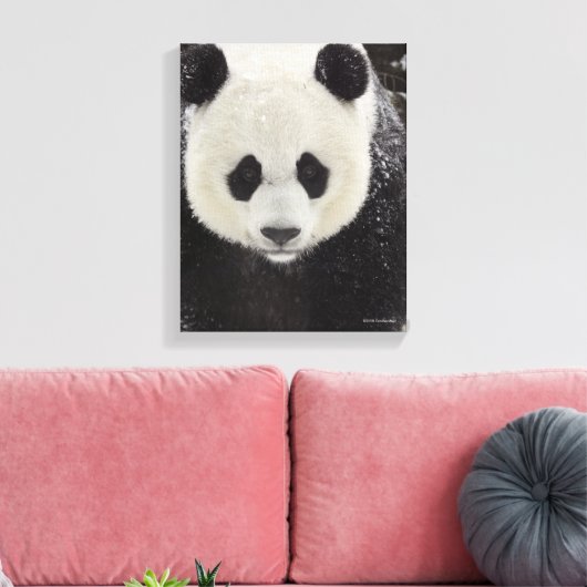Giant Panda in Snow Canvas Afdruk (Insitu (Woonkamer))