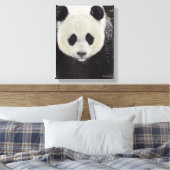 Giant Panda in Snow Canvas Afdruk (Insitu (Slaapkamer))