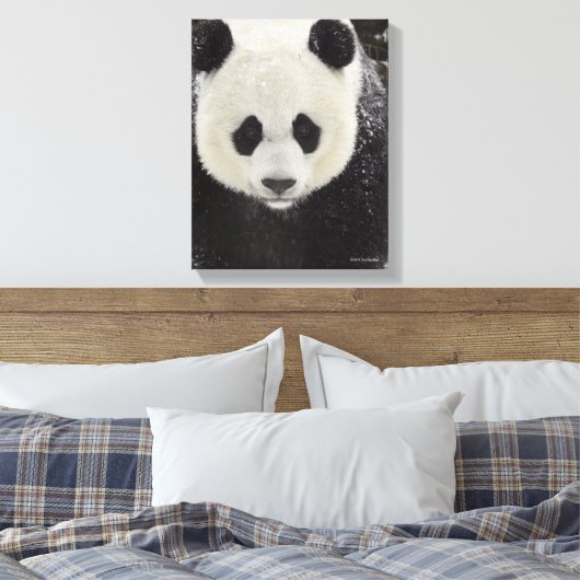 Giant Panda in Snow Canvas Afdruk (Insitu (Slaapkamer))