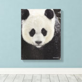 Giant Panda in Snow Canvas Afdruk (Insitu (Houten vloer))