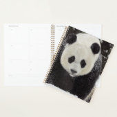 Giant Panda in Snow Planner (Display)