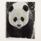 Giant Panda in Snow Planner (Voorkant)