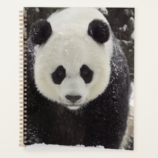 Giant Panda in Snow Planner (Voorkant)