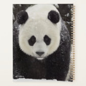 Giant Panda in Snow Planner (Achterkant)