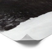 Giant Panda in Snow Poster (Hoek)