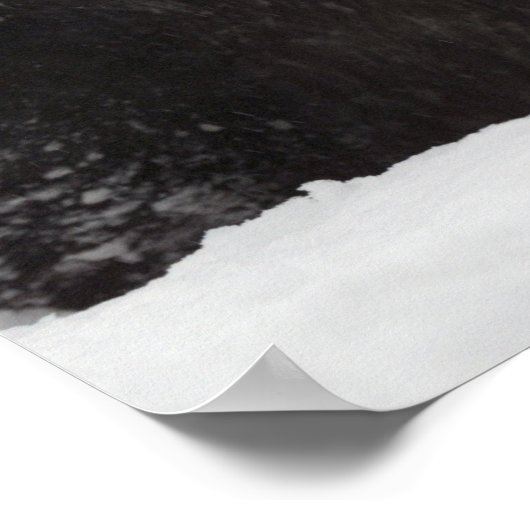 Giant Panda in Snow Poster (Hoek)