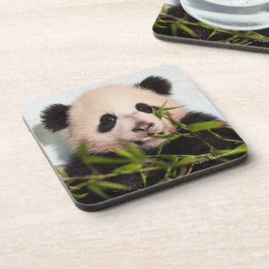 Giant Panda leaning Against Wall Bier Onderzetter (Linkerzijde)