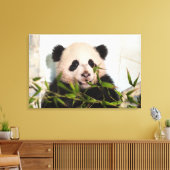 Giant Panda leaning Against Wall Canvas Afdruk (Insitu (Woonkamer))