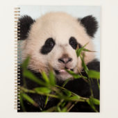 Giant Panda leaning Against Wall Planner (Voorkant)