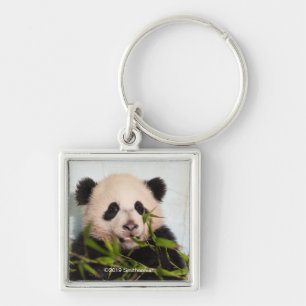 Giant Panda leaning Against Wall Sleutelhanger