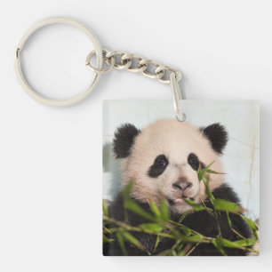 Giant Panda leaning Against Wall Sleutelhanger