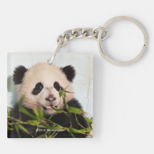 Giant Panda leaning Against Wall Sleutelhanger (Achterkant)