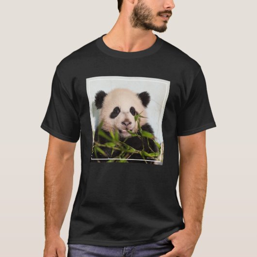 Giant Panda leaning Against Wall T-shirt (Voorkant)