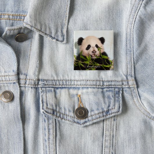 Giant Panda leaning Against Wall Vierkante Button 5,1 Cm (In situ)