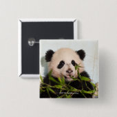 Giant Panda leaning Against Wall Vierkante Button 5,1 Cm (Voorkant /achterkant)