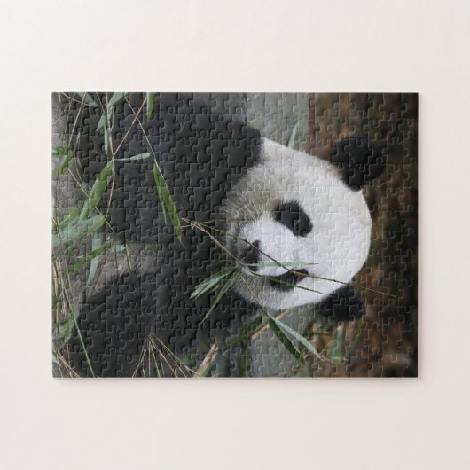 Giant panda legpuzzel (Horizontaal)
