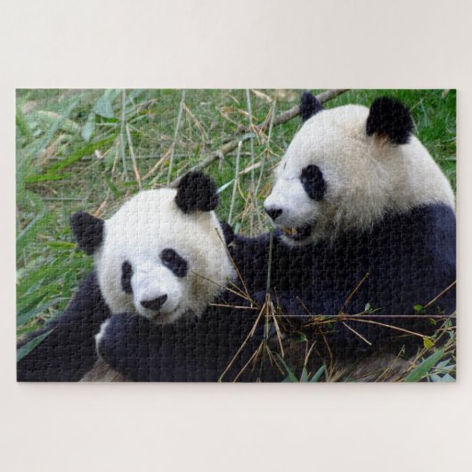 Giant Panda - Love & Bamboo /China Beren Legpuzzel (Horizontaal)