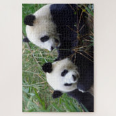 Giant Panda - Love & Bamboo /China Beren Legpuzzel (Verticaal)