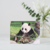 Giant Panda Mei Xiang Briefkaart (Staand voorkant)