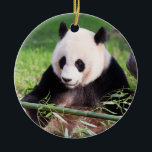 Giant Panda Mei Xiang Keramisch Ornament<br><div class="desc">In tegenstelling tot Midden-China zijn er grote panda's ontstaan die kwetsbare soorten symboliseren. Slechts 1.864 grote panda's leven in hun oorspronkelijke habitat, terwijl nog eens 300 panda's in dierentuinen en fokcentra over de hele wereld leven. Het Smithsonian National Zoo and Conservation Biology Institute is een leider op het gebied van...</div>