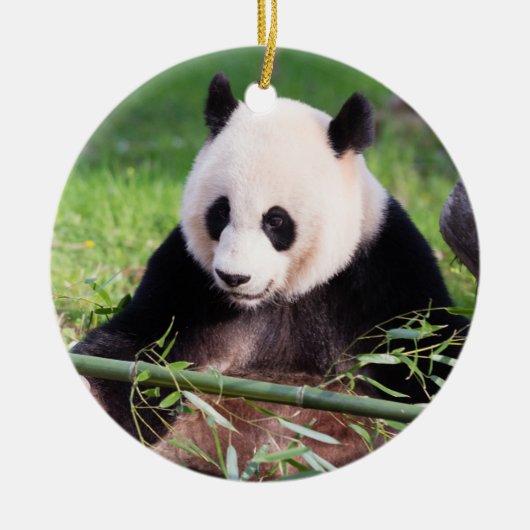 Giant Panda Mei Xiang Keramisch Ornament (Voorkant)