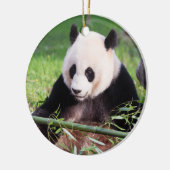 Giant Panda Mei Xiang Keramisch Ornament (Links)