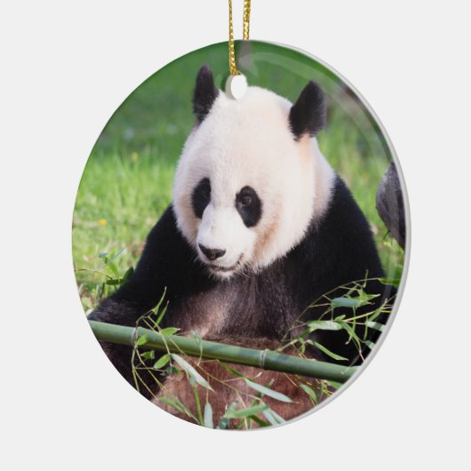 Giant Panda Mei Xiang Keramisch Ornament (Links)