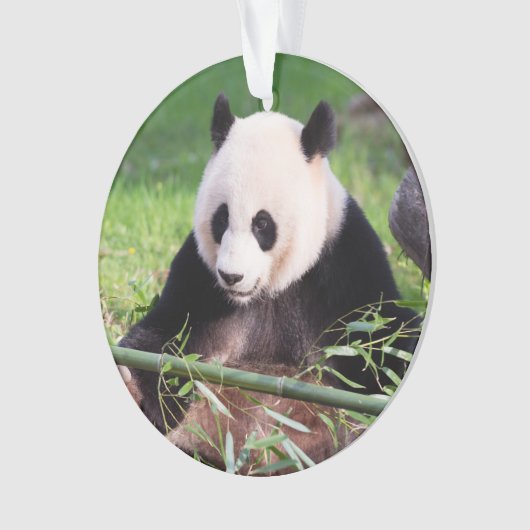 Giant Panda Mei Xiang Ornament (voorkant)