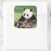 Giant Panda Mei Xiang Vierkante Sticker (Tas)