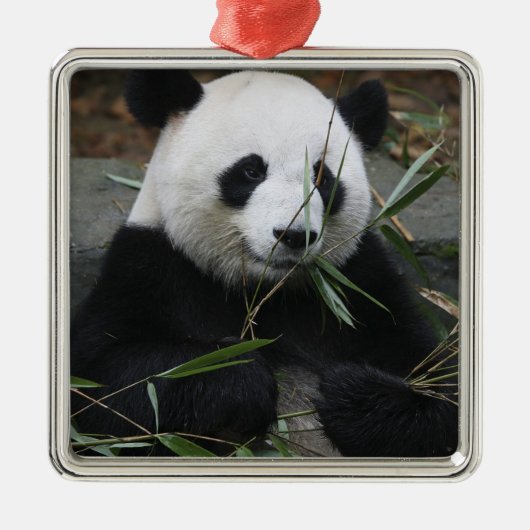 Giant panda metalen ornament (Voorkant)