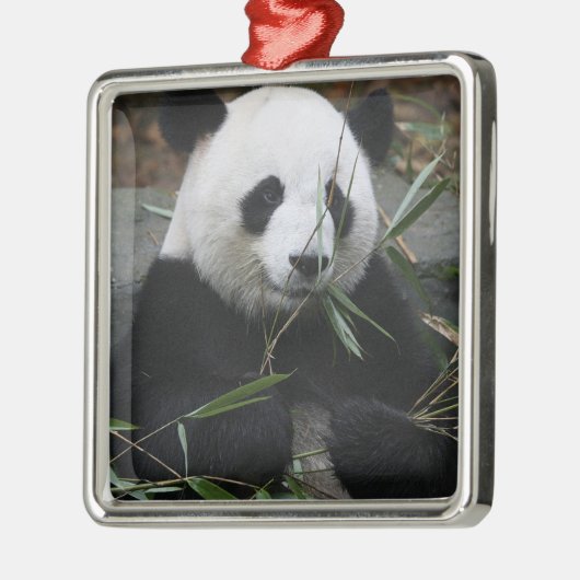 Giant panda metalen ornament (Links)