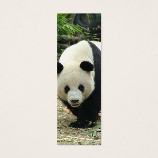 Giant panda mini bladwijzer mini visitekaartjes (Voorkant)